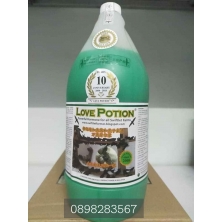 DUNG DỊCH LOVE POTION